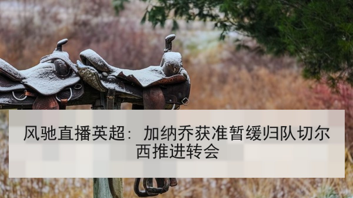 风驰直播英超: 加纳乔获准暂缓归队切尔西推进转会 风驰直播英超: 加纳乔获准暂缓归队切尔西推进转会