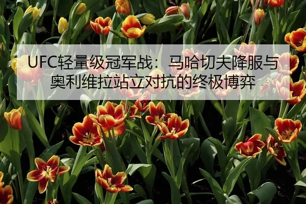UFC轻量级冠军战：马哈切夫降服与奥利维拉站立对抗的终极博弈