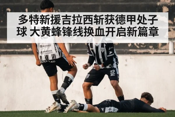 多特新援吉拉西斩获德甲处子球 大黄蜂锋线换血开启新篇章
